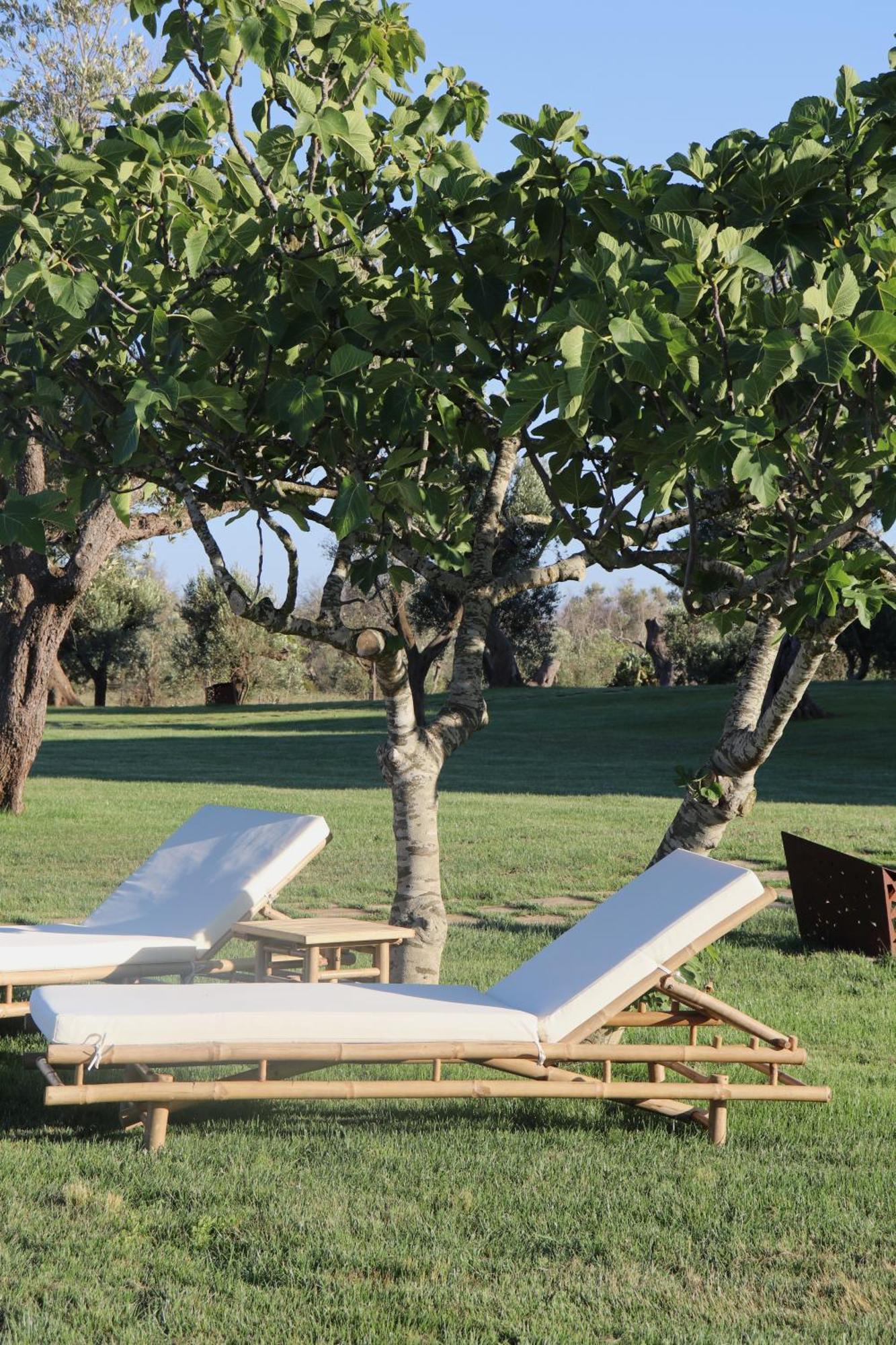 Secolario Masseria Del Viverbene Palmariggi Экстерьер фото